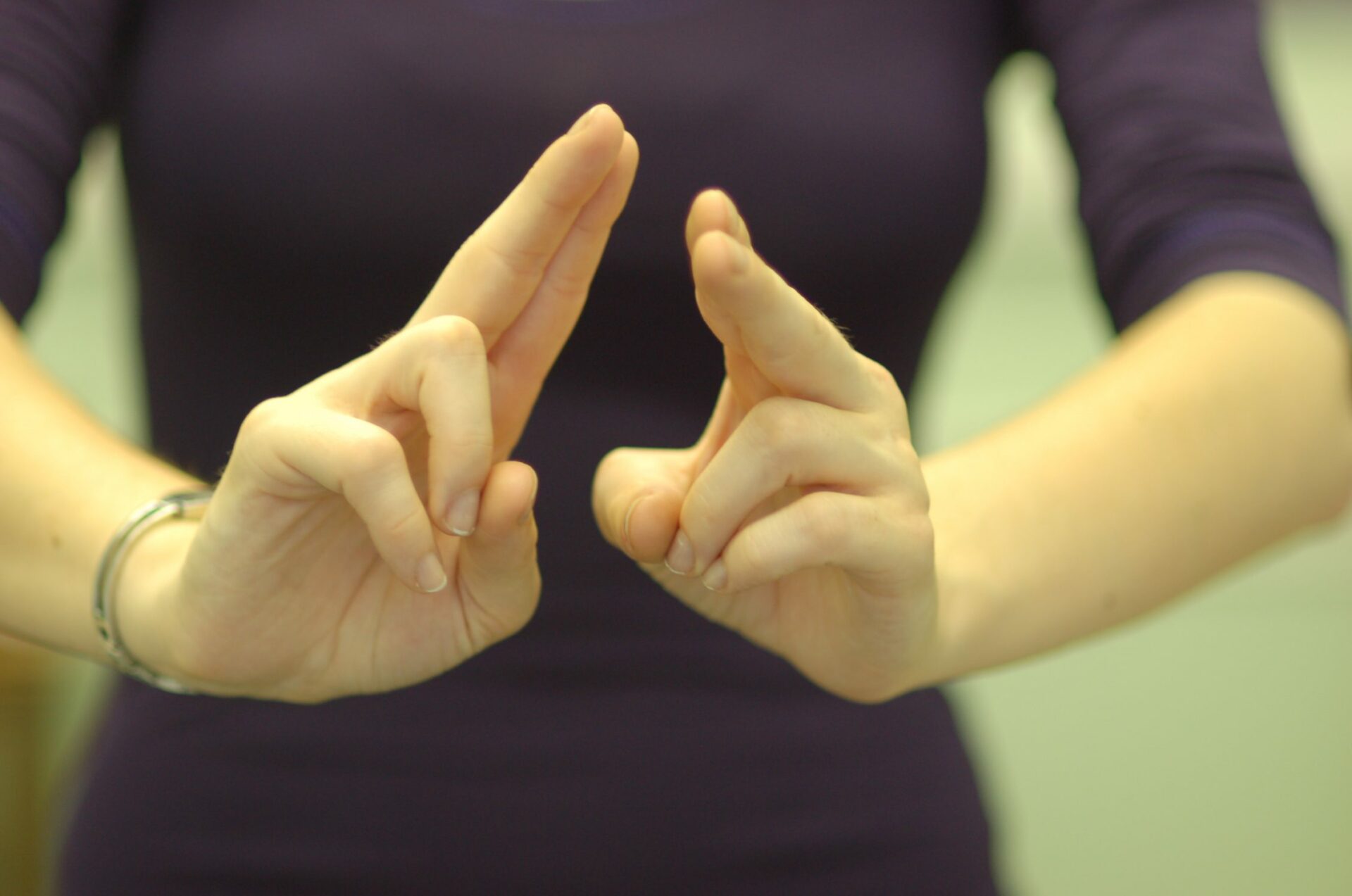 Hands showing BSL sign for interpreter